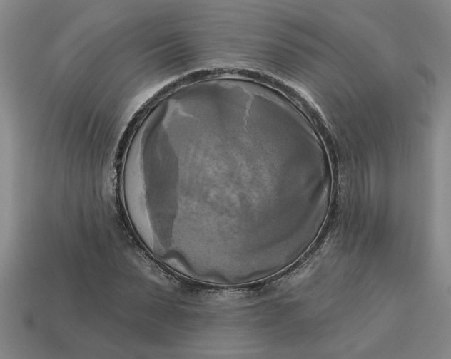 X0000113300879200910051040