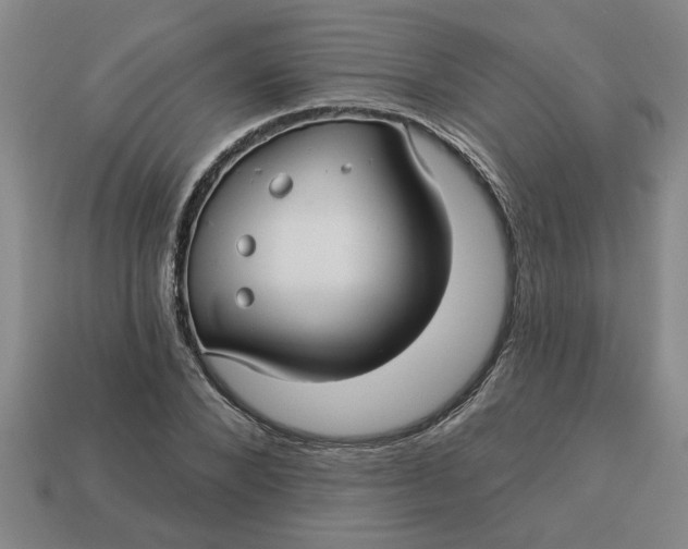 X0000113300880200910051040