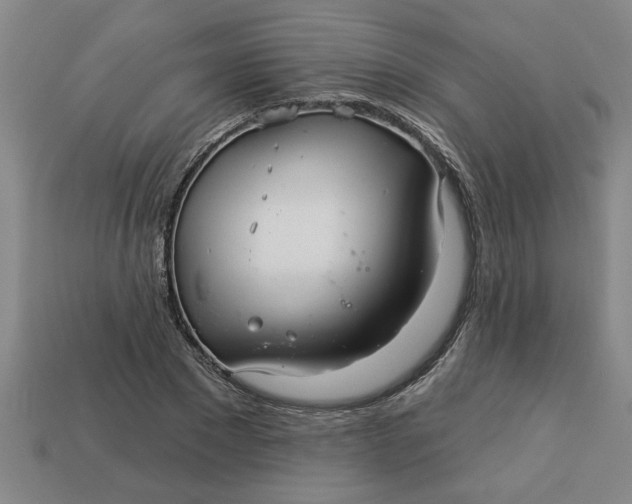 X0000113300881200910051040