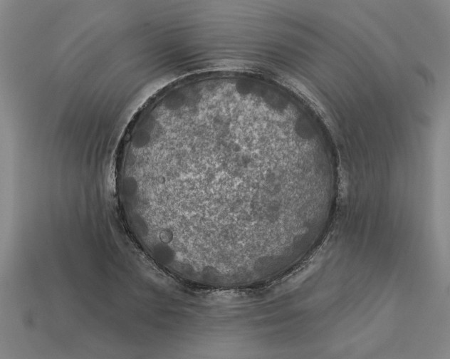 X0000113300883200910051040