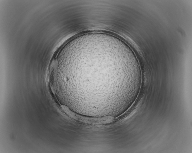 X0000113300885200910051040