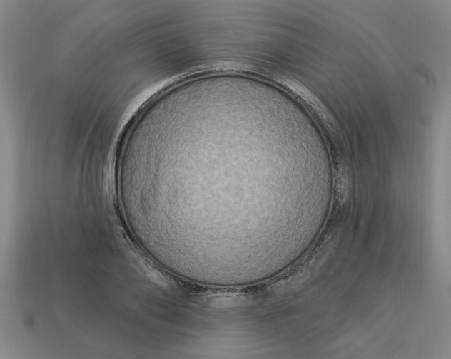 X0000113300886200910051040