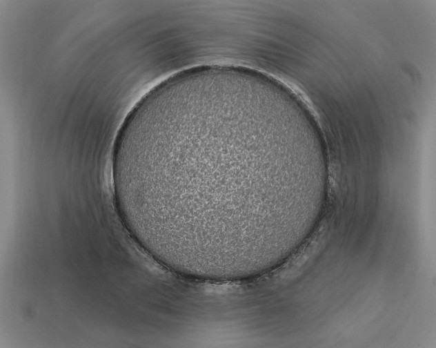 X0000113300887200910051040