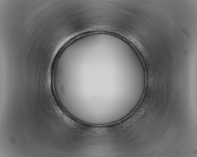 X0000113300888200910051040