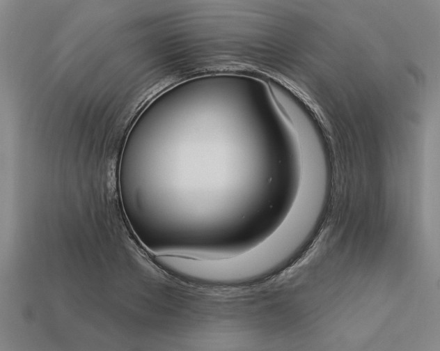 X0000113300889200910051040