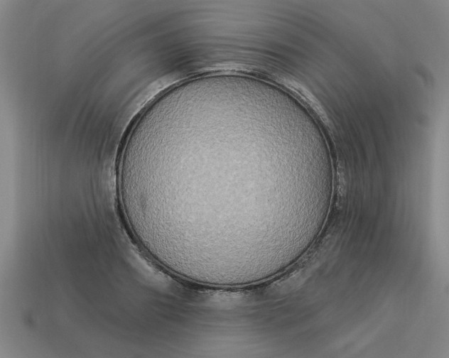 X0000113300890200910051040