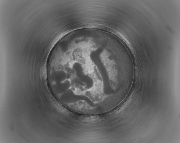 X0000113300891200910051040