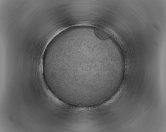 X0000113300892200910051040