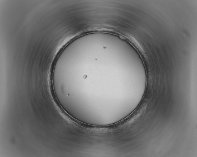 X0000113300893200910051040