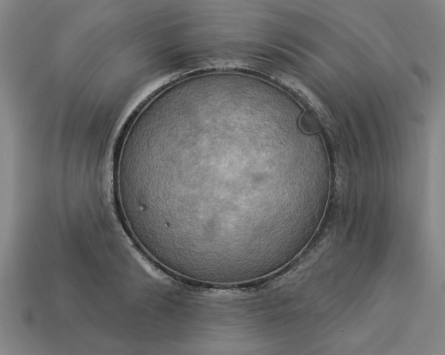 X0000113300894200910051040