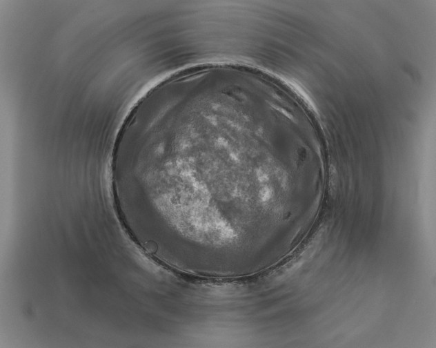 X0000113300895200910051040