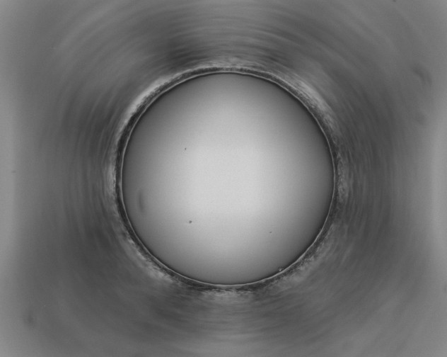 X0000113300896200910051040