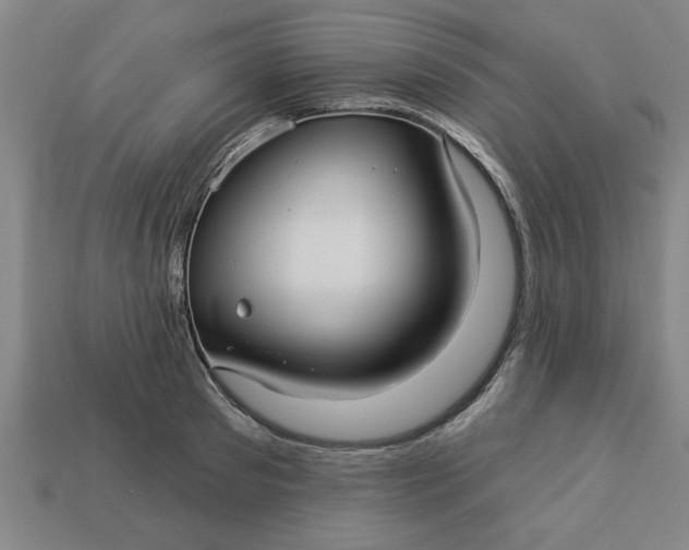 X0000113300897200910051040