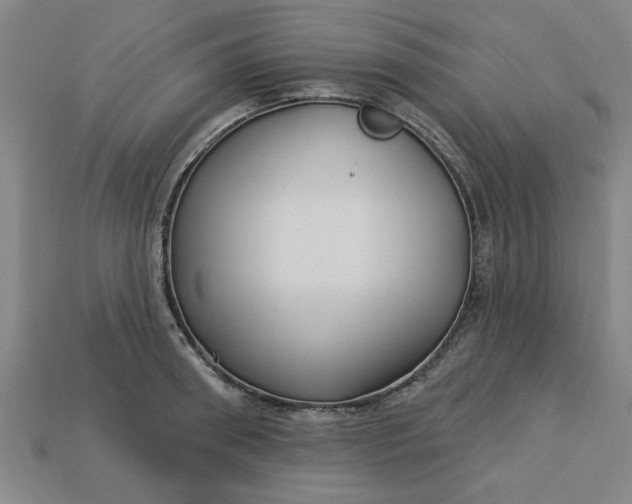 X0000113300898200910051040