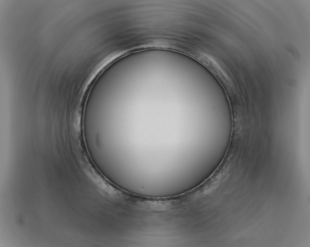 X0000113300900200910051040