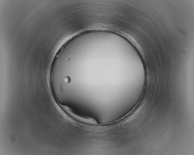 X0000113300901200910051040