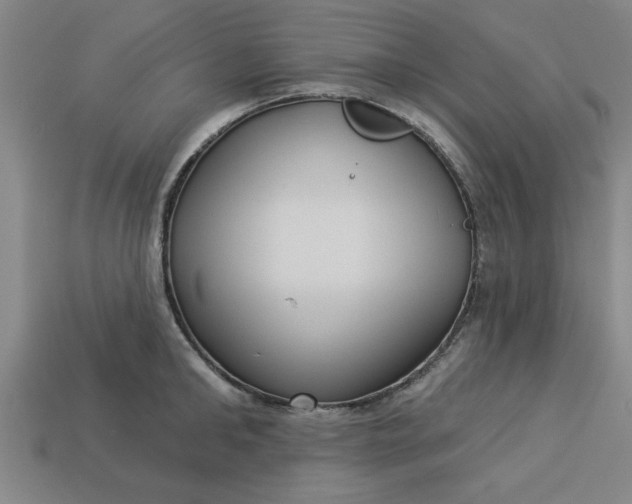 X0000113300902200910051040