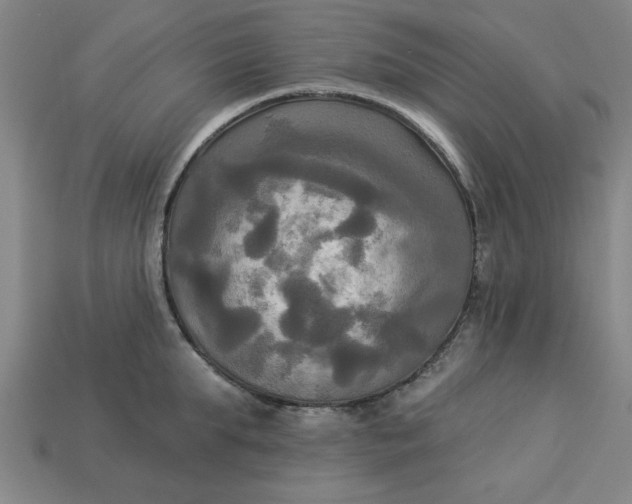 X0000113300903200910051040