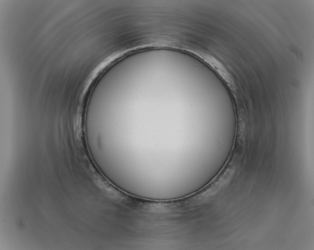 X0000113300904200910051040