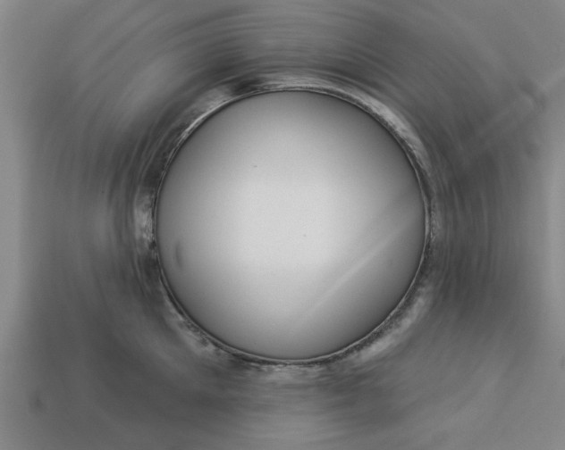 X0000113300905200910051040