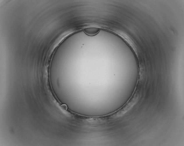 X0000113300906200910051040