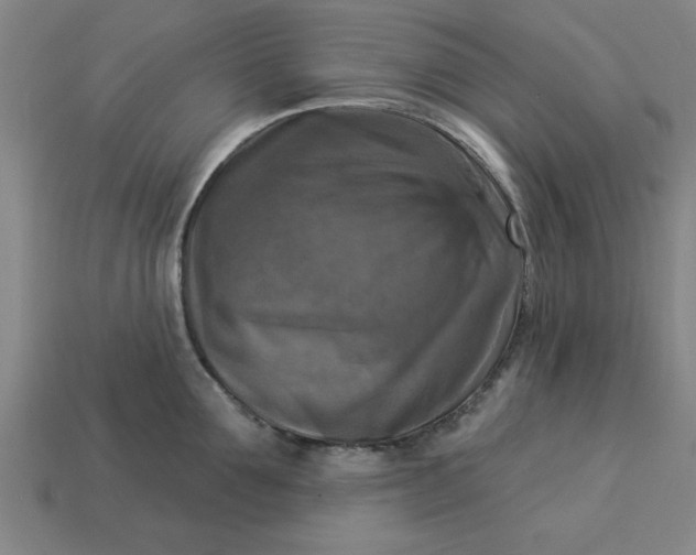 X0000113300907200910051040