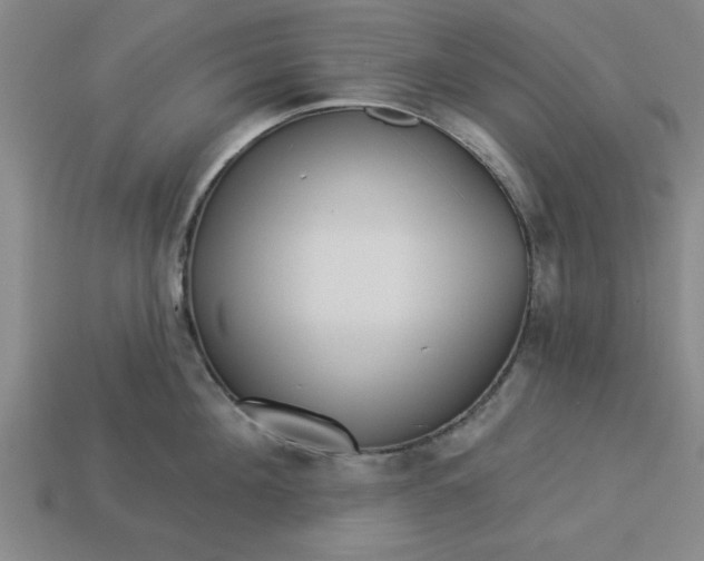 X0000113300908200910051040