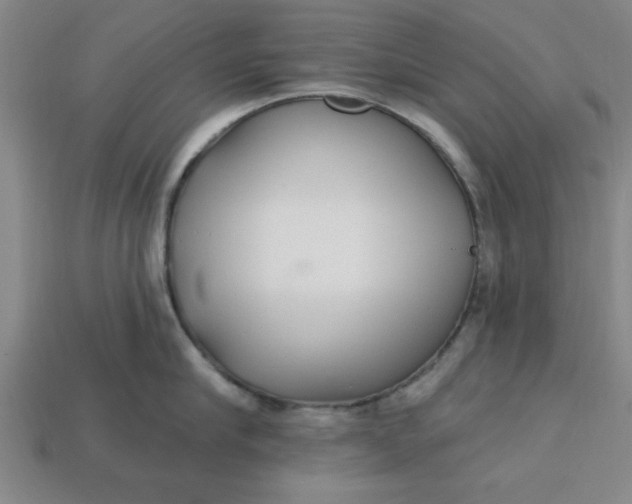 X0000113300910200910051039