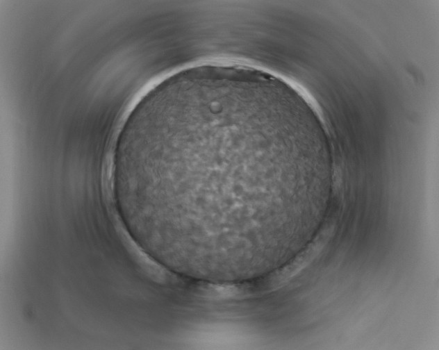 X0000113300911200910051039