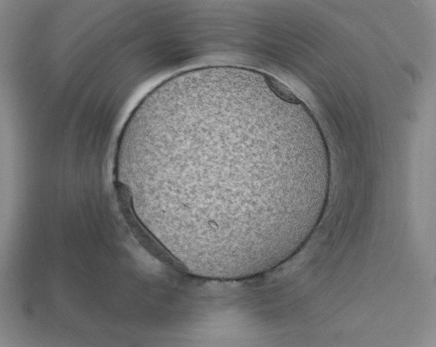 X0000113300912200910051039