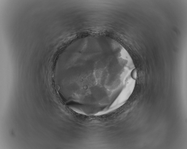 X0000113300913200910051039