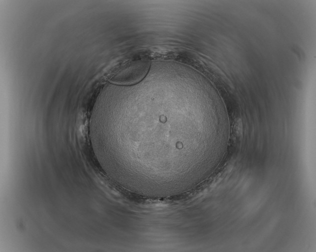 X0000113300914200910051039