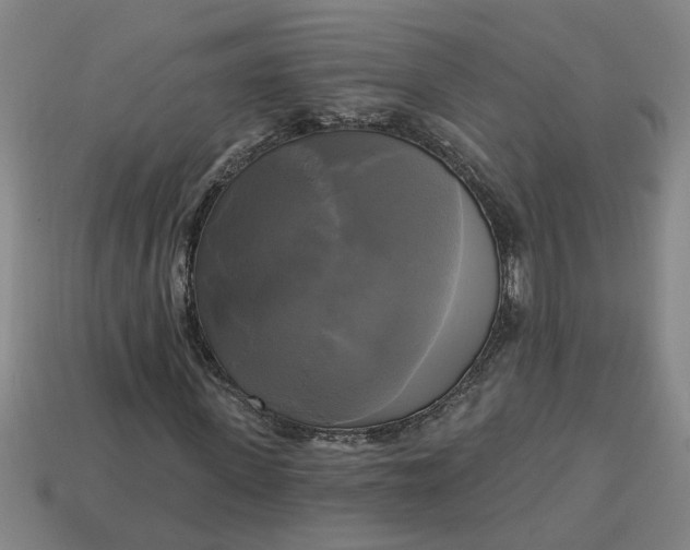 X0000113300915200910051039