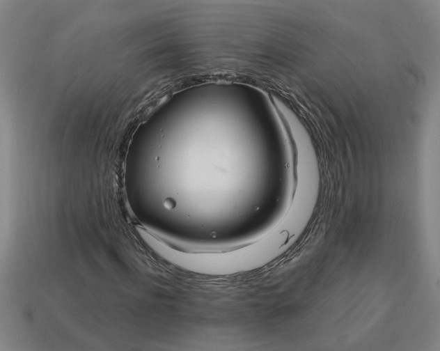 X0000113300916200910051039