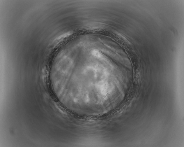 X0000113300917200910051039