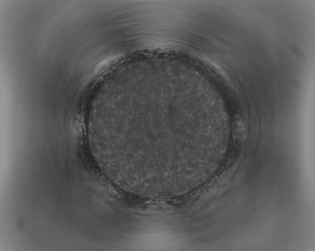 X0000113300918200910051039