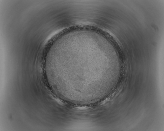 X0000113300919200910051039