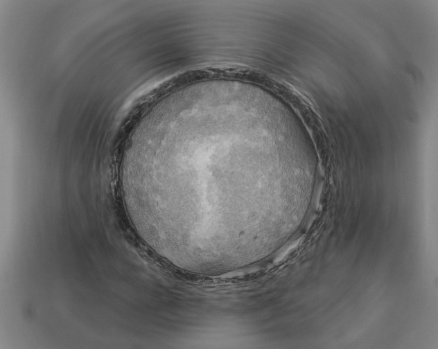 X0000113300920200910051039