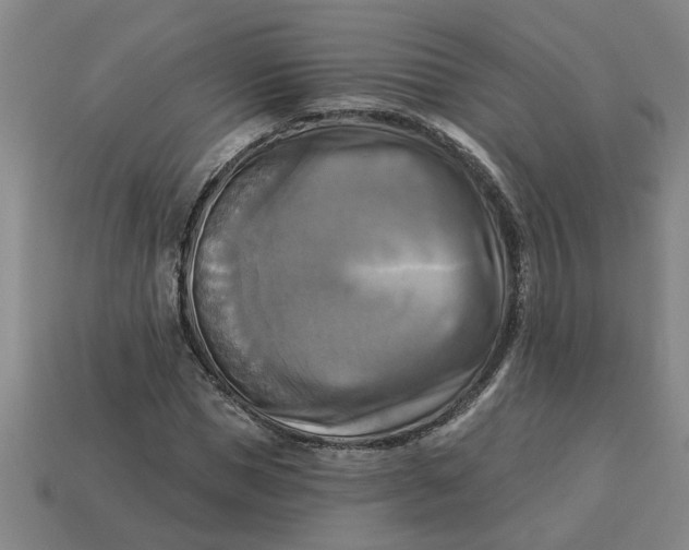 X0000113300921200910051039