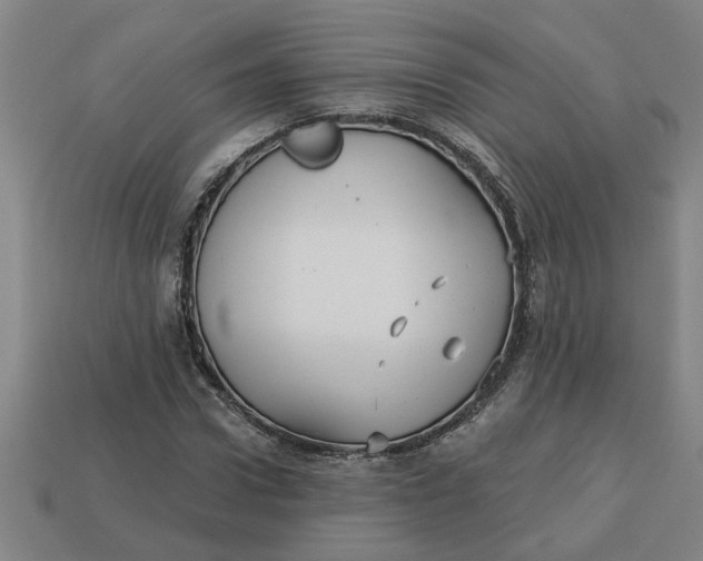 X0000113300922200910051039