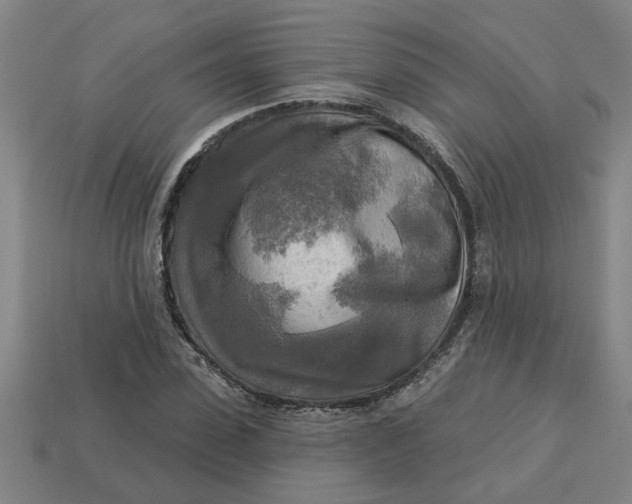 X0000113300923200910051039