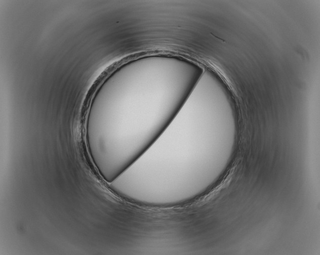 X0000113300924200910051039