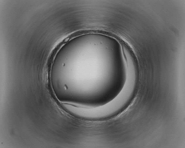 X0000113300925200910051039