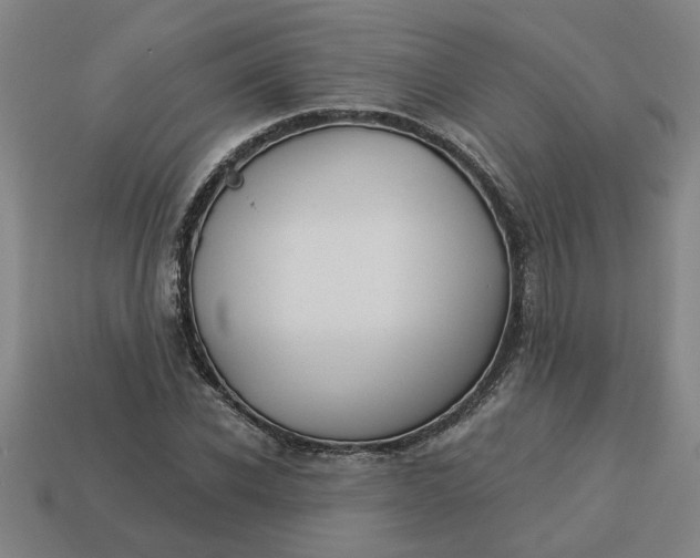 X0000113300926200910051039