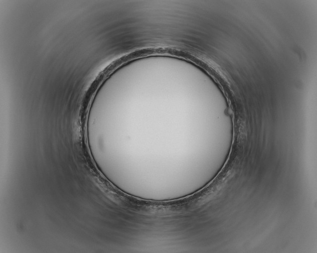 X0000113300927200910051039