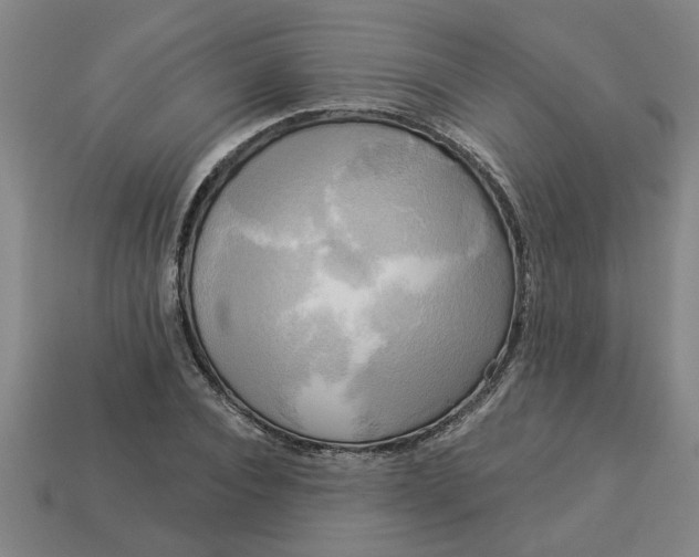 X0000113300928200910051039