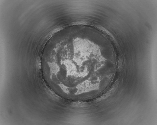 X0000113300929200910051039