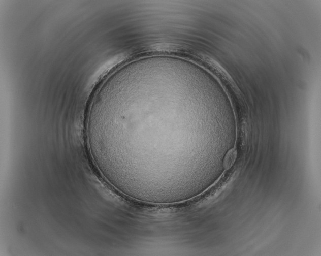 X0000113300930200910051039