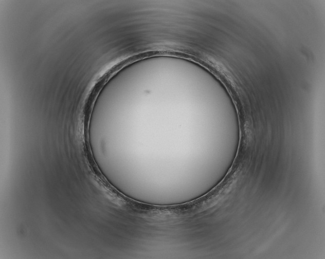 X0000113300931200910051039