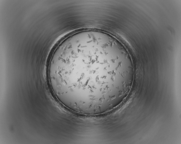 X0000113300932200910051039